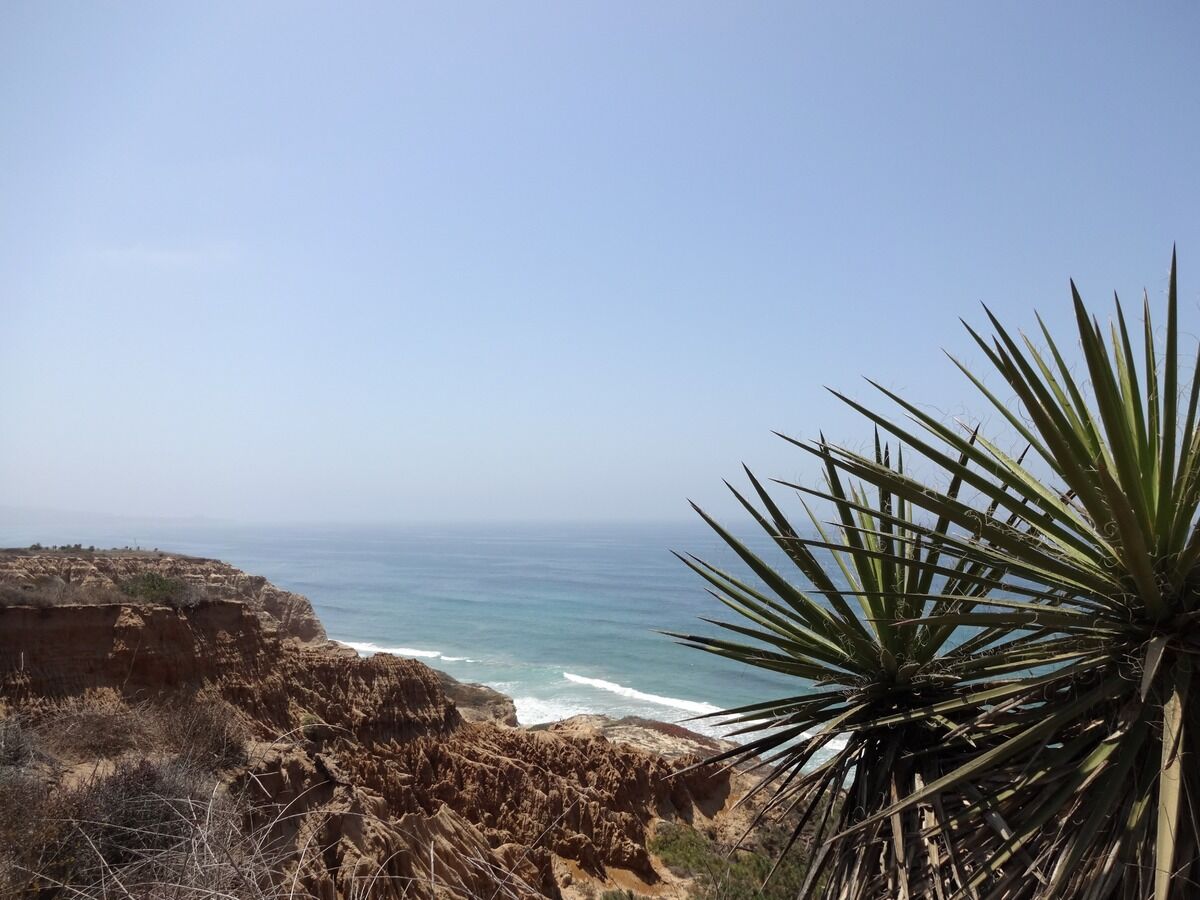 Amazing Hiking Trails in La Jolla, Torrey Pines, Escondido & North County